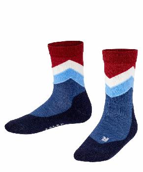 "FALKE" Носки Active Colour Chevron (12919/6680)